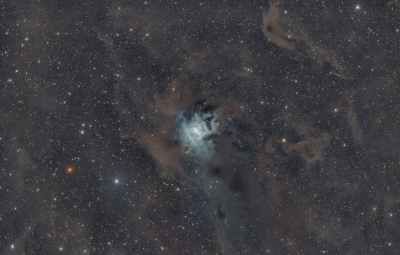 Iris Nebula (NGC7023)