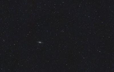 NGC7331