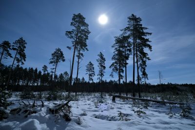 Восход Луны 01.2023