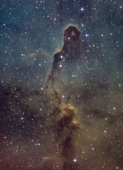 IC 1396, Elephant's Trunk nebula