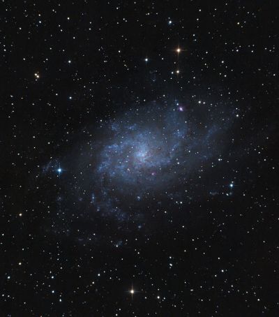 M33