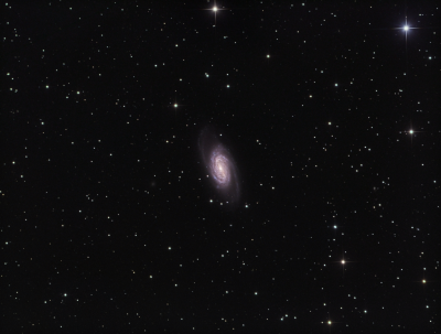 NGC 2903 in Leo LRGB