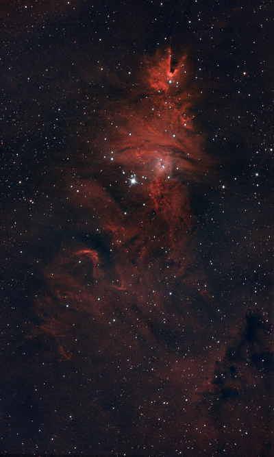 NGC 2264
