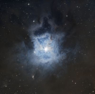 Iris Nebula