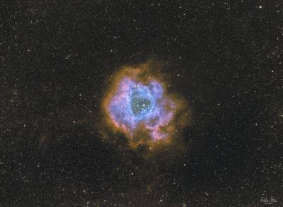 NGC 2237 Rosette nebula SHO faked from dual narrowband filter
