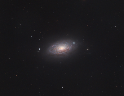 M63