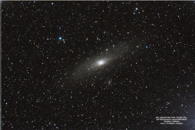 M31