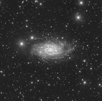 NGC 2403