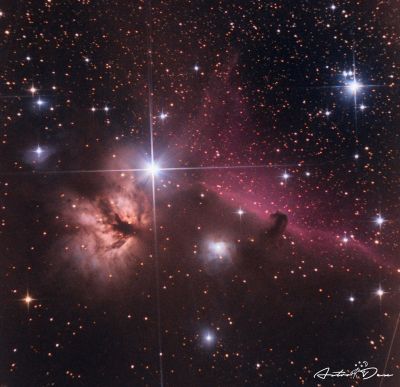 Horsehead nebula & Flame nebula