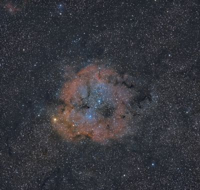 Elephant's Trunk Nebula (IC 1396A) - Astrophotography