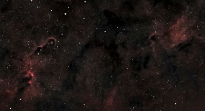 IC 1396 region in Cepheus