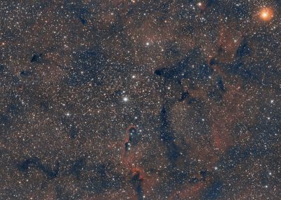IC1396