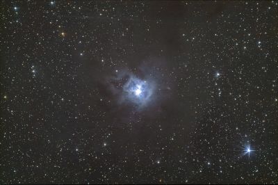 NGC7023 Iris