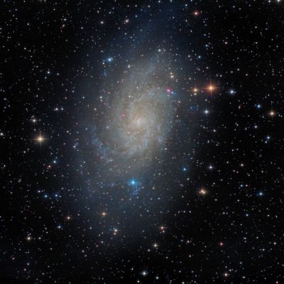 M33
