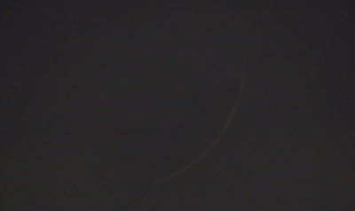 Пролет птицы на фоне новорожденной Луны (07.06.24, 21:30 Мск)