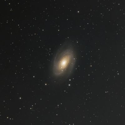 M81