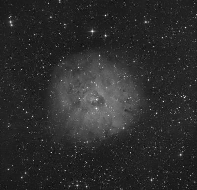 Little  Rosette nebula