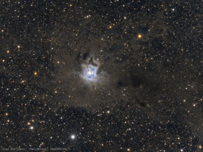 Туманность Ирис (NGC 7023).
