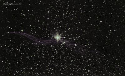 Ведьмина метла