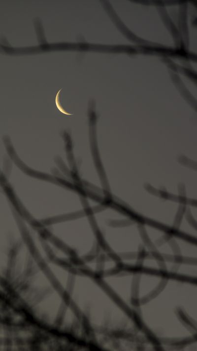 Луна убывающая, фаза 16%