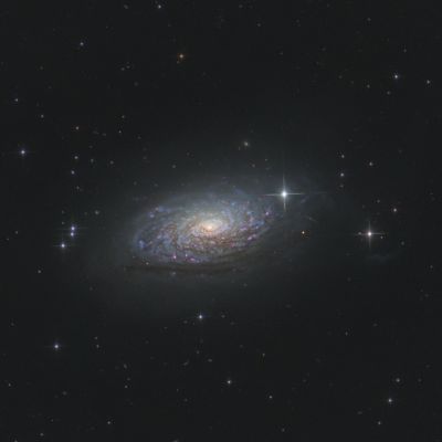 M63 