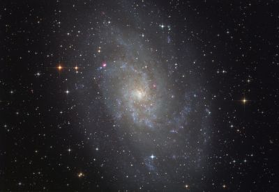 M33