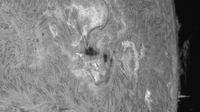 Полчаса жизни AR 3780