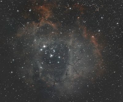 Туманность Розетка (NGC 2238)