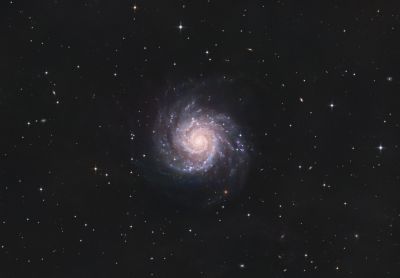 M74