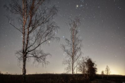 Спрятавшийся охотник за Плеядами