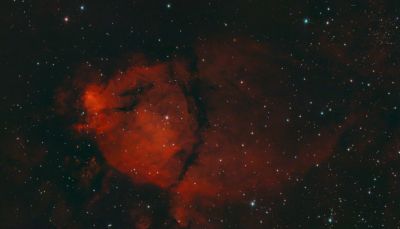 IC 1795 Голова рыбы