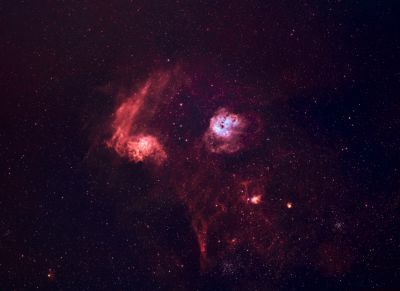 Пламенеющая звезда, головастики, скопления морская звезда и вертушка. 