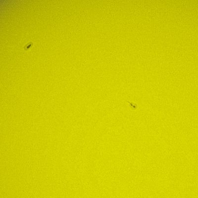 Пятна 9 Мая 2019