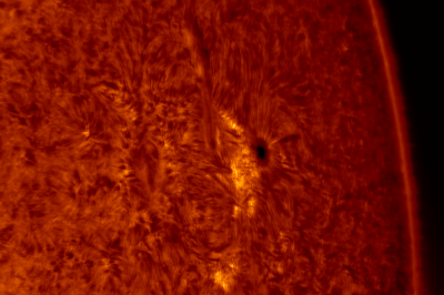 2020.10.24 Sun AR12776 H-Alpha (color)