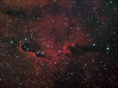 IC1396 HORGB Elephant Trunk