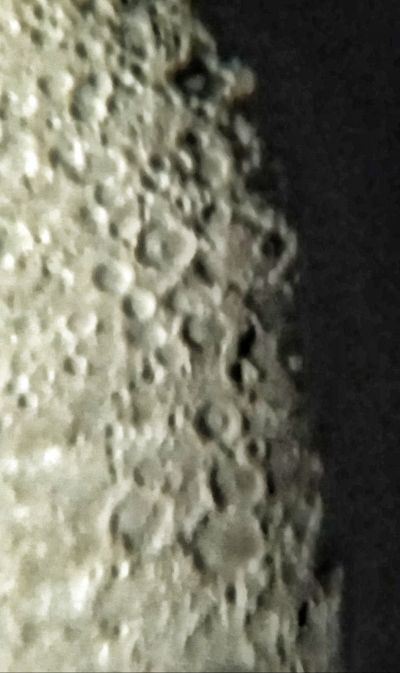 Терминатор 