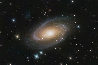 M 81