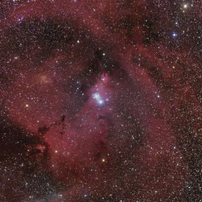 Christmas Tree Cluster (NGC 2264, Cone Nebula)