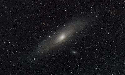 M31