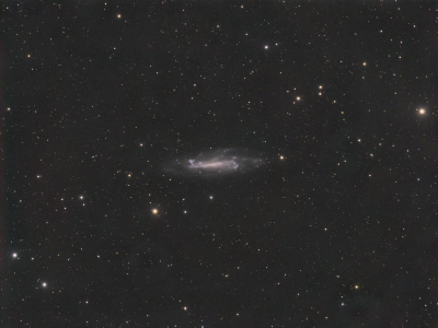 NGC4236  в Драконе