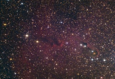IC1396