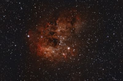 IC 410