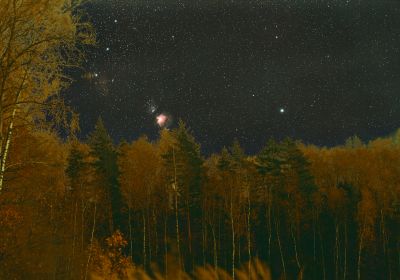Восход Ориона над лесом