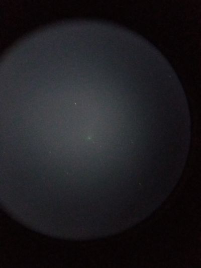 C/2022 E3 (ZTF) 22 января