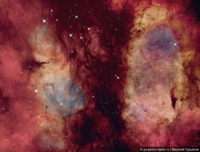 Туманность Гаммы Лебедя (γ Cygnus) Регион Садра.