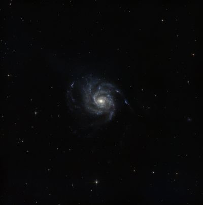 M101