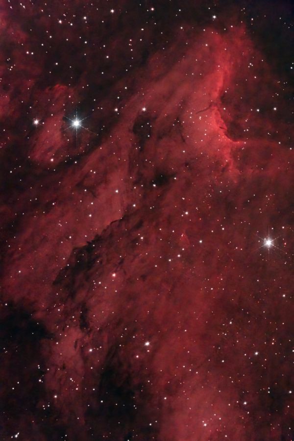 IC5070 Pelican Nebula close-up - Astrophotography