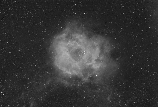 NGC 2244 - Astrophotography