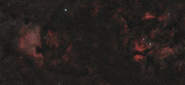 Mosaic in Cygnus - Astrophotography
