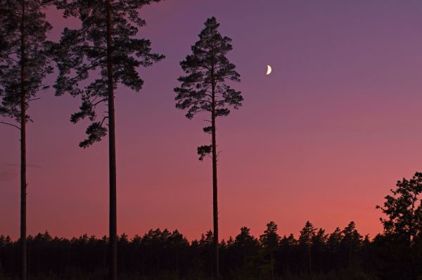 Moonset 07.2025 - Astrophotography